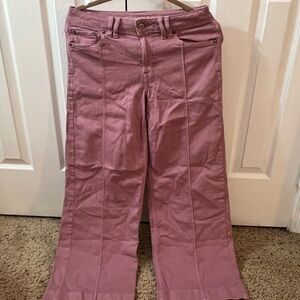 American Eagle Outfitters Mauve Stretch Pants
